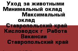 Уход за животными › Минимальный оклад ­ 10 000 › Максимальный оклад ­ 20 000 - Ставропольский край, Кисловодск г. Работа » Вакансии   . Ставропольский край